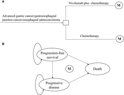 Cost-Effectiveness of Nivolumab Plus Chemotherapy vs. Chemotherapy as First-Line Treatment for Advanced Gastric Cancer/Gastroesophageal Junction Cancer/Esophagel Adenocarcinoma in China